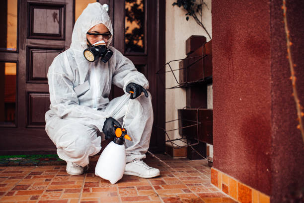Reliable Mosquito Control contractor in Incline Village, NV by Show Me Pest Control